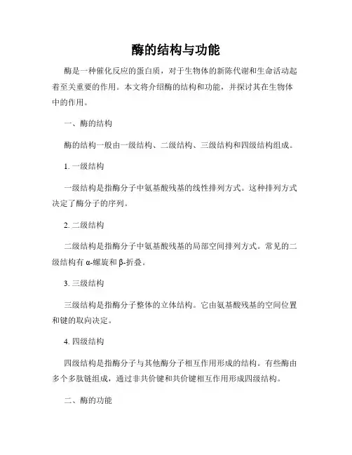酶的结构与功能