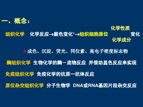 免疫组化方法学课件