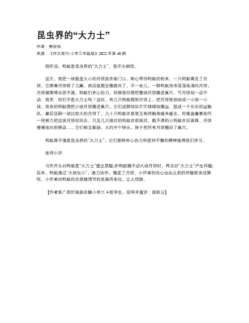 昆虫界的“大力士”