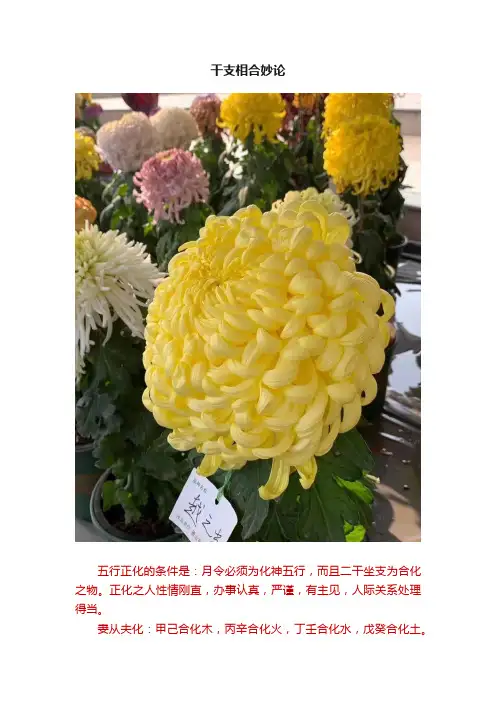 干支相合妙论