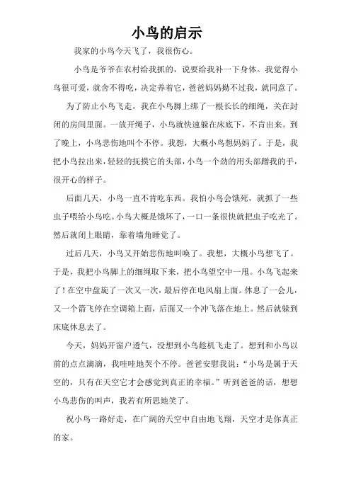 小鸟的启示