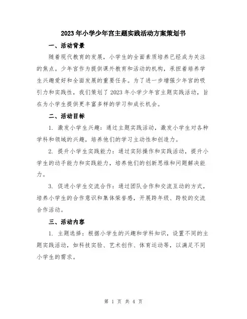 2023年小学少年宫主题实践活动方案策划书
