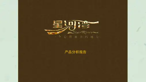 浦东星河湾产品分析报告课件