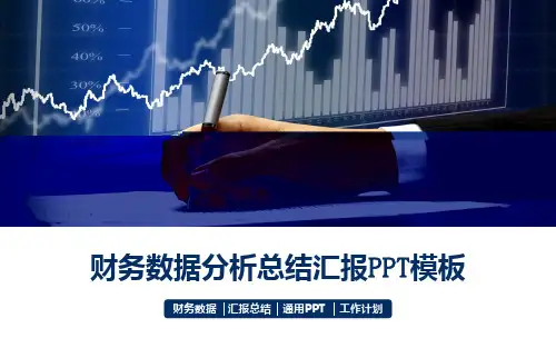 企业财务数据汇报总结工作计划财务数据分析总结汇报PPT