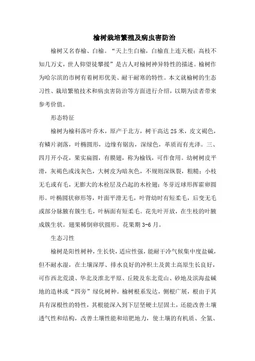榆树栽培繁殖及病虫害防治