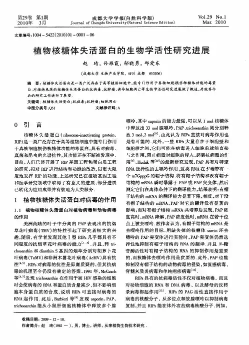 植物核糖体失活蛋白的生物学活性研究进展