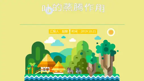叶的蒸腾作用