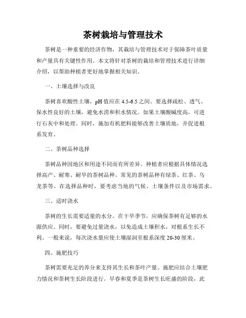 茶树栽培与管理技术