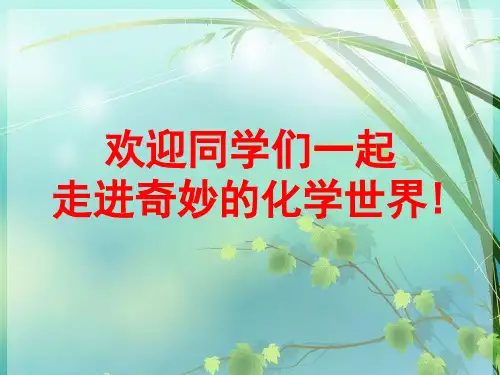 人教版初三化学九年级上册 PPT课件 图文