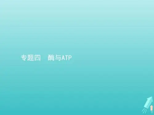 高考生物一轮复习 专题四 酶与ATP课件