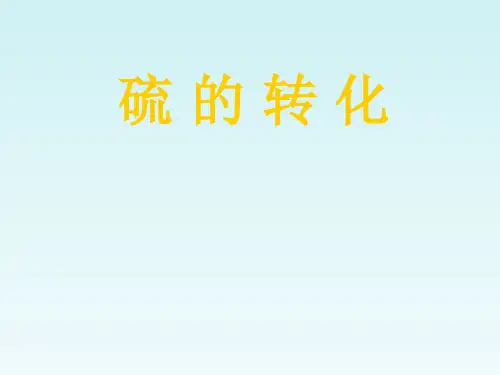 高中化学：《硫的转化》ppt