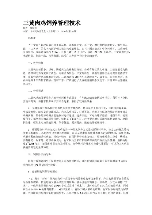 三黄肉鸡饲养管理技术