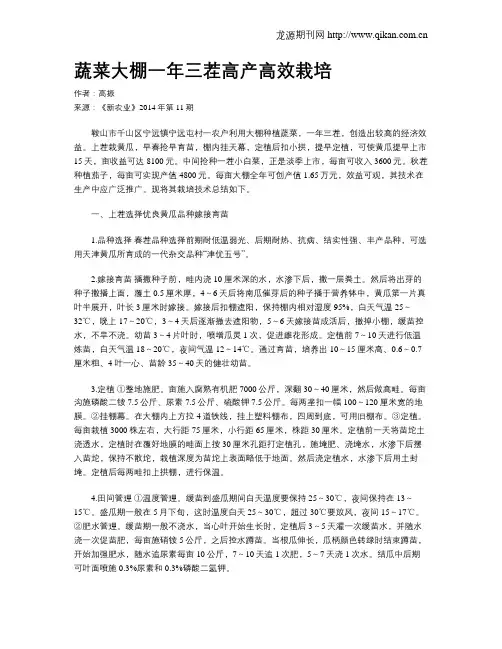 蔬菜大棚一年三茬高产高效栽培