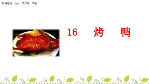 教科版五年级下册语文16 烤鸭PPT课件(共31张PPT)