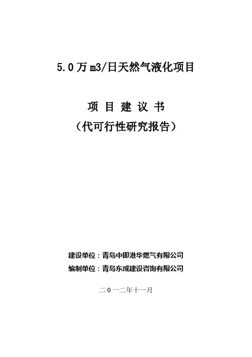 LNG项目建议书