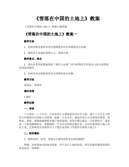 《雪落在中国的土地上》教案