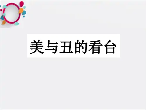 《巴黎圣母院》PPT课件