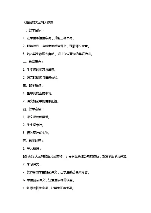 《艳丽的大公鸡》教案