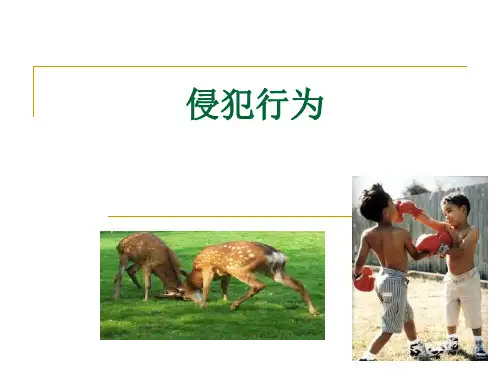 第九章 侵犯行为