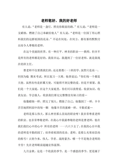 老师您好,我的好老师征文