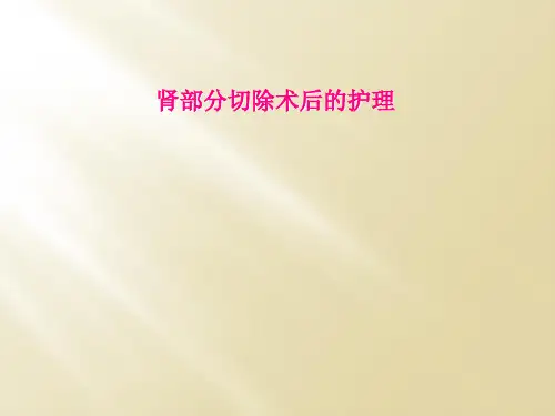 肾部分切除术后的护理
