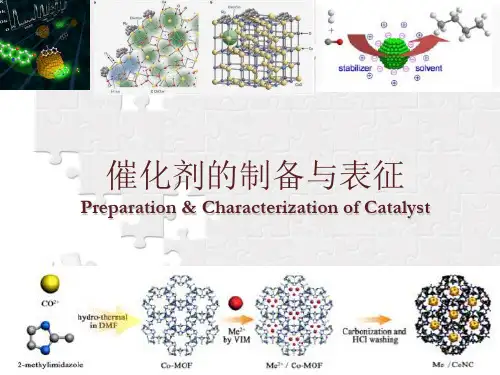中英文催化剂的制备与表征(catalysis and physical properties)