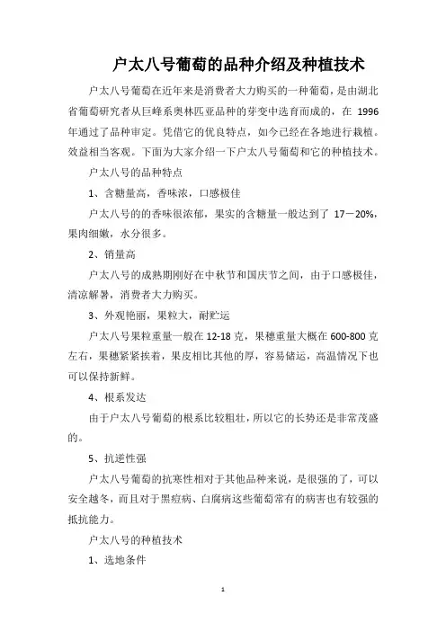 户太八号葡萄的品种介绍及种植技术