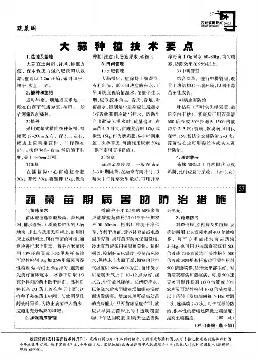 大蒜种植技术要点