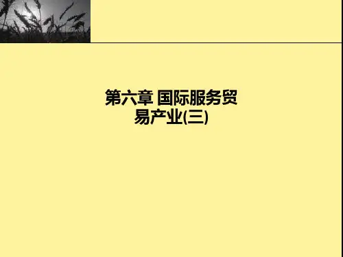 第六章-国际服务贸易产业(三)PPT课件
