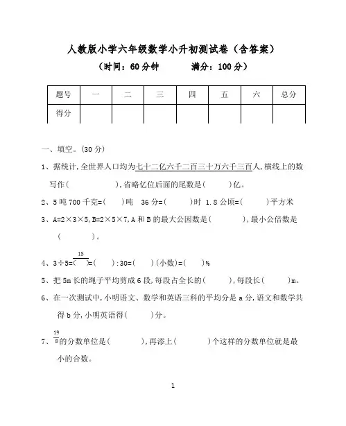 人教版小学六年级数学小升初测评卷(含答案)