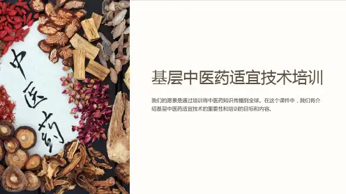 基层中医药适宜技术培训二ppt课件