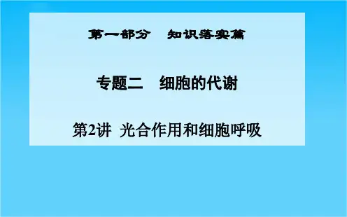 高三生物二轮复习课件专题二 第2讲 光合作用和细胞呼吸