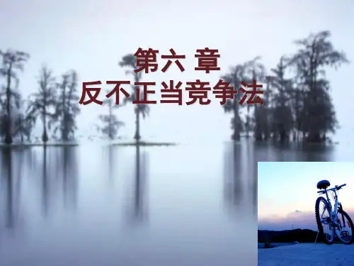 反不正当竞争法(PPT 45张)