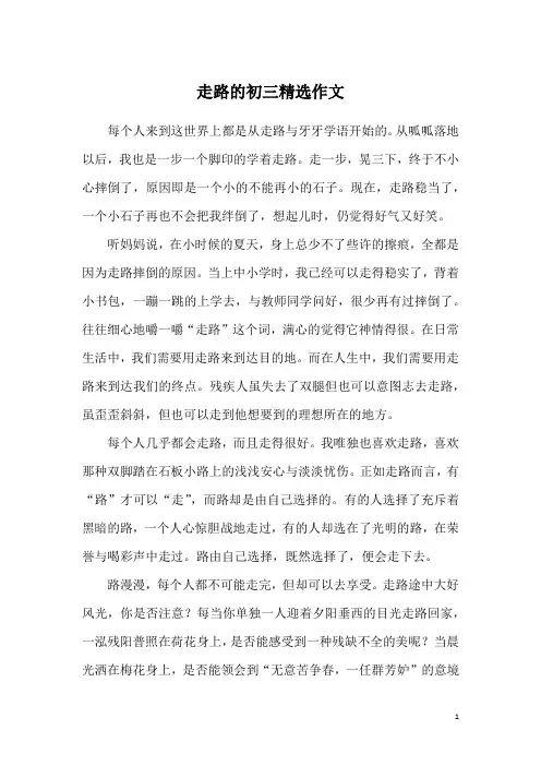 走路的初三精选作文