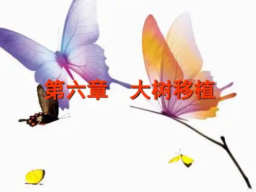大树移植 PPT课件