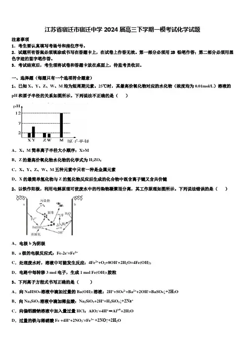 江苏省宿迁市宿迁中学2024届高三下学期一模考试化学试题含解析