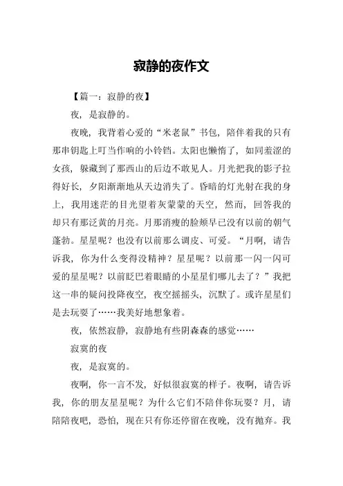 寂静的夜作文