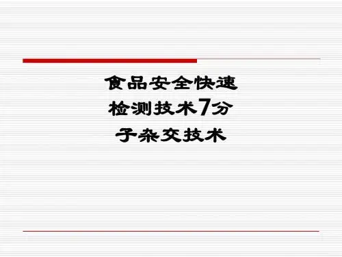 食品安全快速检测技术7分子杂交技术PPT课件