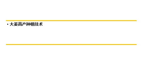 大姜高产种植技术【47页】
