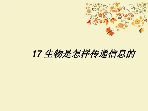 【优质课PPT】最新版六年级科学下册《生物是怎样传递信息的》课件1