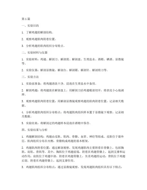 鸡翅的结构实验报告(3篇)