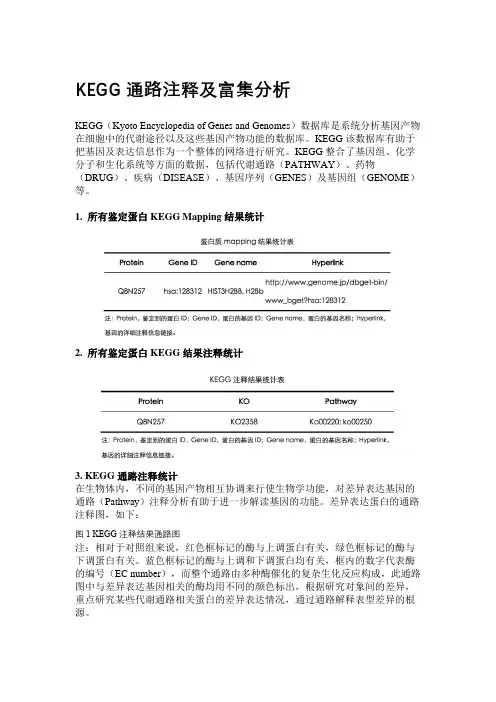 KEGG通路注释及富集分析