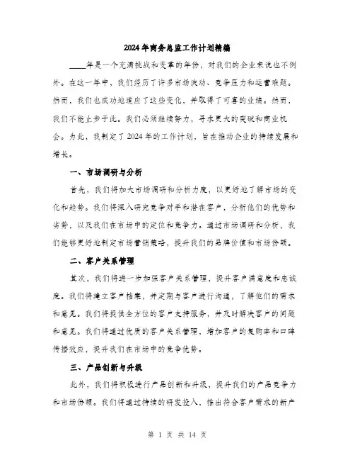 2024年商务总监工作计划精编(5篇)