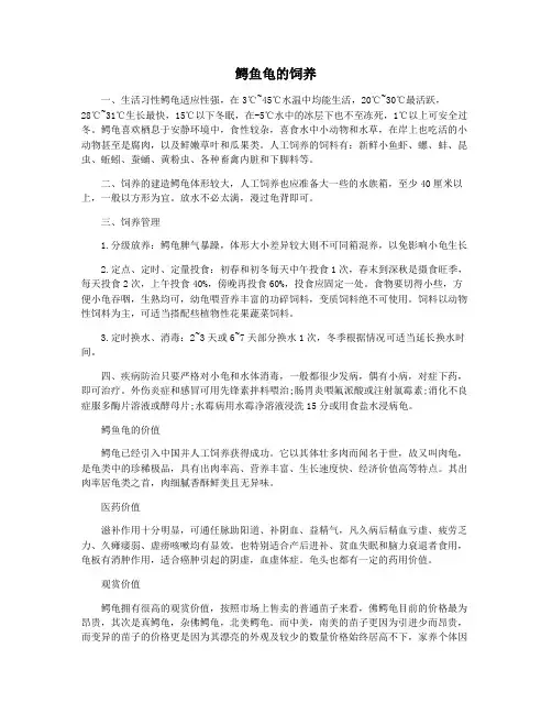 鳄鱼龟的饲养