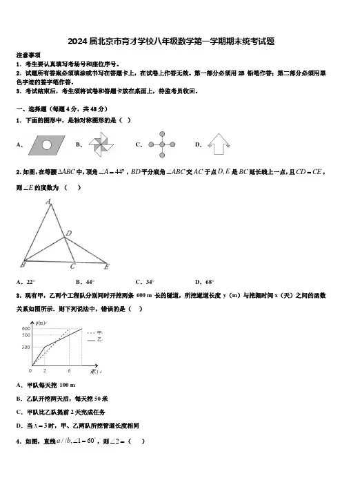 2024届北京市育才学校八年级数学第一学期期末统考试题含解析