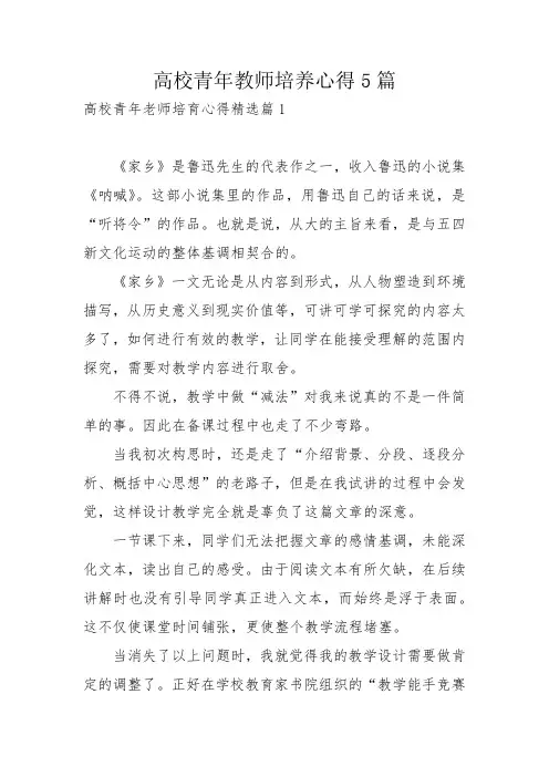 高校青年教师培养心得5篇