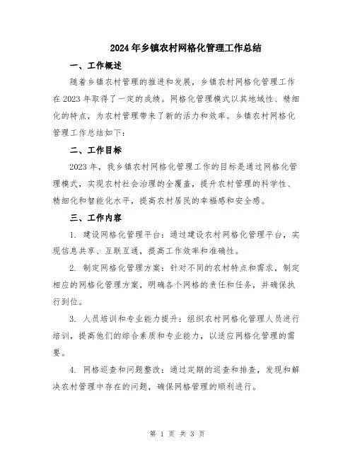 2024年乡镇农村网格化管理工作总结