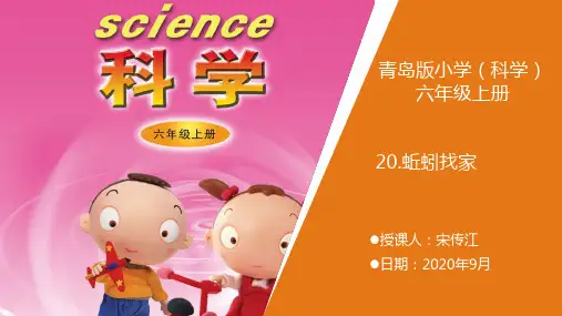 青岛版科学六年级上册《20.蚯蚓找家》教学课件