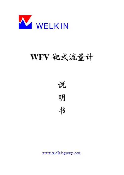 靶式流量计操作手册