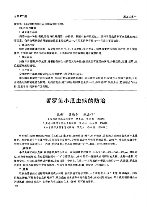哲罗鱼小瓜虫病的防治
